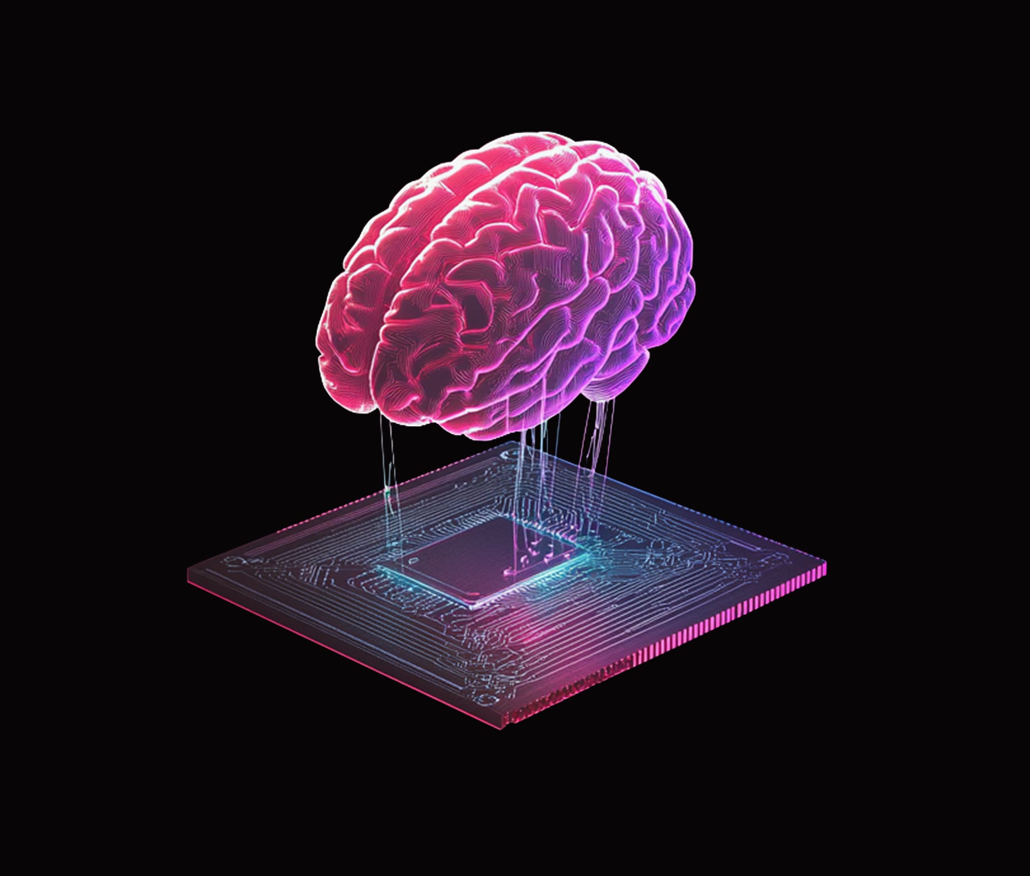 Explore our services