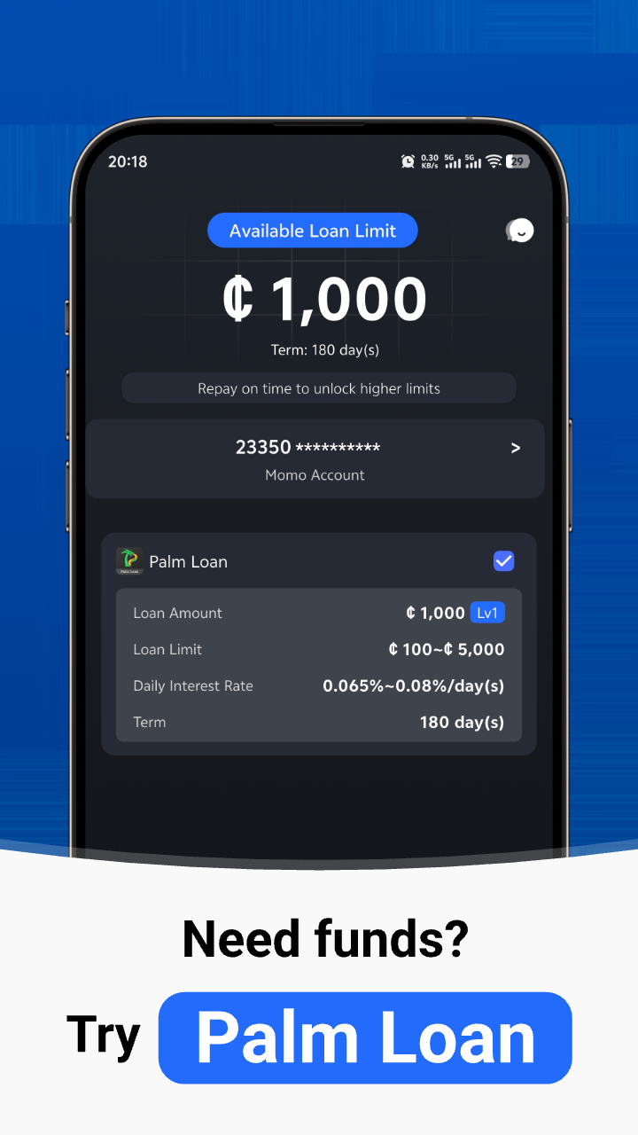 Palm Loan mobile app loan-entry screen Palm Loan mobile app loan-entry screen